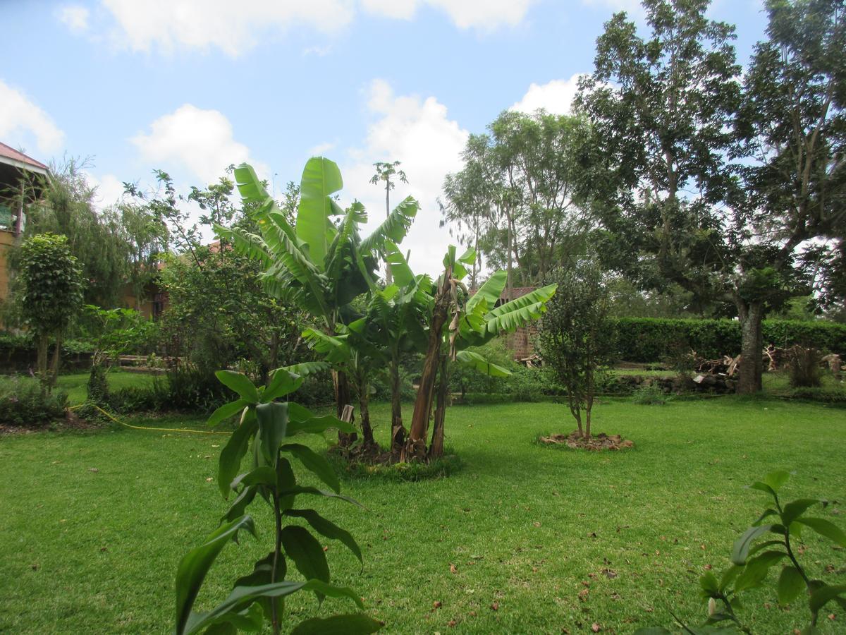 Kilimanjaro Eco Lodge Usa River Zewnętrze zdjęcie